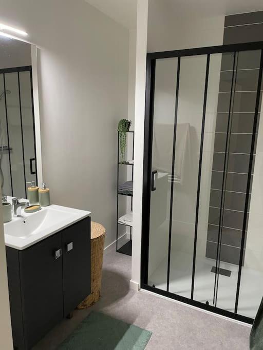 Superbe Appartement En Residence Avec Parking Le Mans Zewnętrze zdjęcie